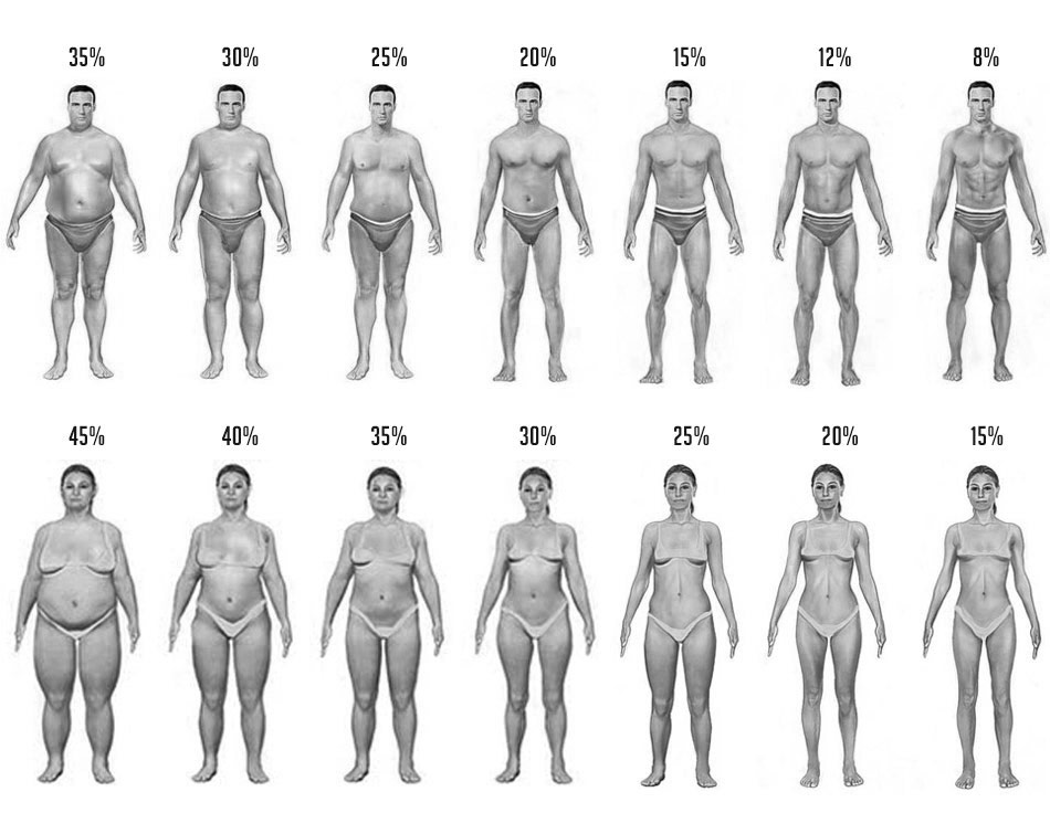 Body Fat Pictures