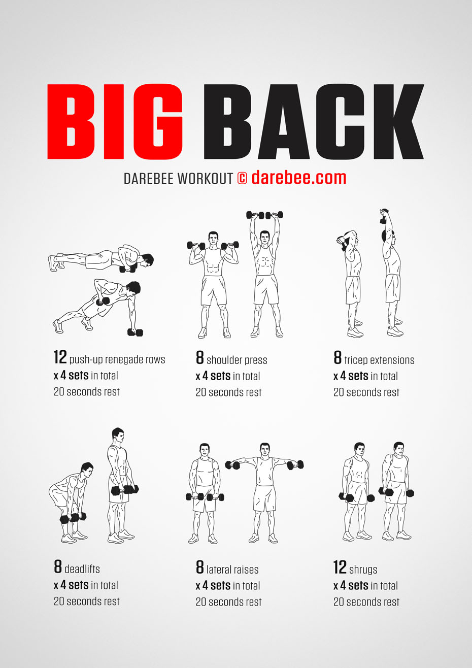 Big Back Workout
