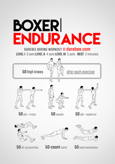 Boxer Endurance Workouts Collection