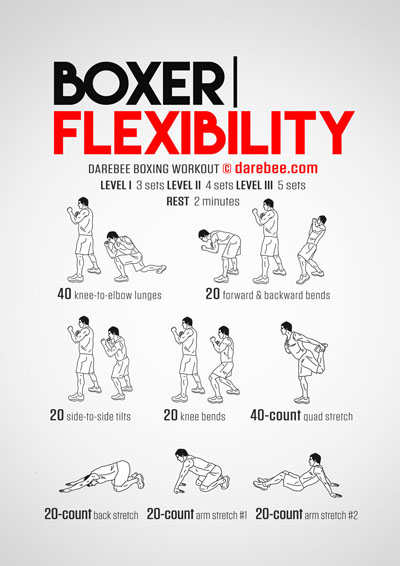 Boxer Flexibility Workouts Collection