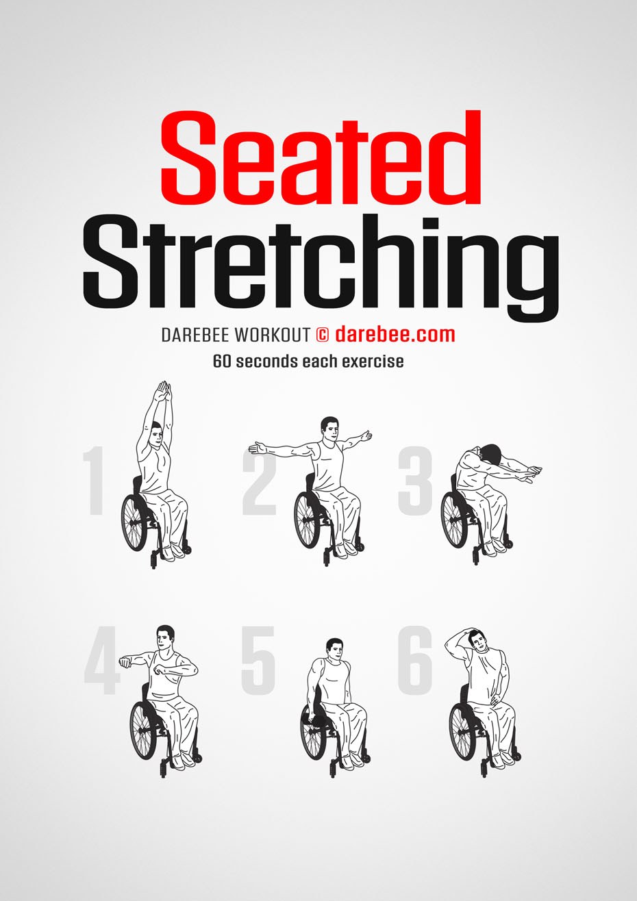 Seated Stretching Workout